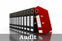 Audit Assurance Risk